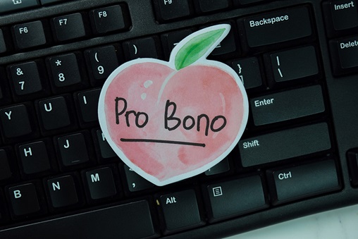 Pro bono